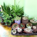 제주인하우스펜션 이미지