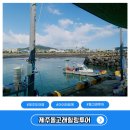 제주돌고래힐링투어 아이와 함께 탐방체험 후기