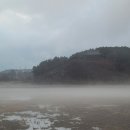 미리원 이미지