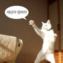 덕인PC | [초등임용 합격수기] 공통 지역 2차 98.43점, 수업실연 만점의 2차 합격수기 (전북지역/ 최종합격/ 2차...