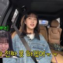티비티비 이미지