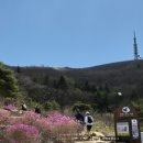 구례진달래집 | 봄에는 진달래가 가득핀 지리산 노고단으로 올라가자(feat.저질체력이 걸린시간 참고)