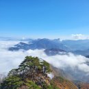 40-05 충주-월악산.포함산(택일)(9월20일) 이미지