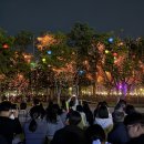 은은하게 이미지