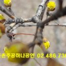 (주)동향 Daum카페
