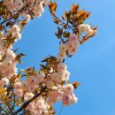 풀잎나루공원 이미지