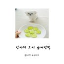 오늘도 뽀송하개 이미지