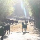 한미숙농장 이미지