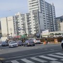 금향 이미지