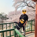 당목마을 당제 이미지