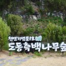 백림장 이미지