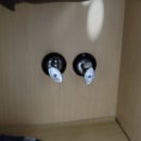 경기도 수원시 팔달구 세지로174번길 이미지