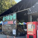 옥이네농원 | 전라도 광주근교맛집 솥뚜껑 닭볶음탕 내돈내산 담양 삼거리농원