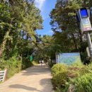 [검단산 등산] 서울 근교 검단산 해발657m 2023년 10월 산행 후기 - 등산로, 등산코스, 무료주차, 화장실