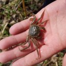 고덕수변공원 이미지