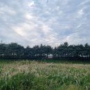 의령천 둔치 - 24 | 의령천 둔치