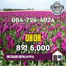 해드림부동산공인중개사사무소 이미지