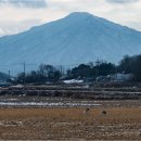 대위리-양지리 이미지