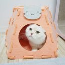 고양이집 이미지