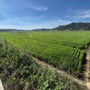 삼산면-4 이미지