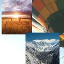 금철자원 이미지