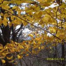 산1경로당 이미지