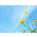 바디스캔 명상 배워보기 ＜브레인트레이닝센터＞ 이미지