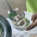뜰채낙지 이미지