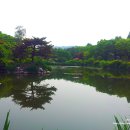 국립서울현충원 이미지