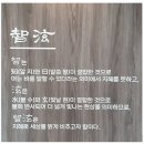 세무회계지현 이미지
