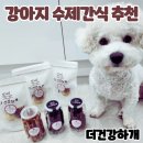 건강하개 수제간식 | 건강한 간식을 찾는 보호자에게 추천하는 더건강하개 강아지 수제간식 급여후기