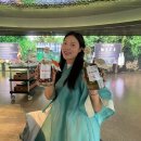 강릉 이색데이트 처음처럼&amp;새로 브랜드 체험관 솔직 방문 후기