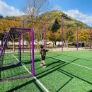 보라빛 낭만펜션 이미지