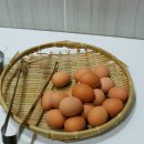 호텔하루2 이미지