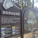 경주숲 3,4 티스토리