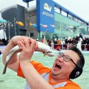 송어축제 이미지