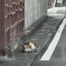 브라운베이글-태백점 | 이월에