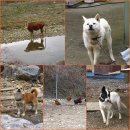 산막교 | 마령에서 사선대 까지 섬진강길 따라 걷기