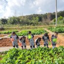 세화 어린이집 이미지