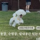 멍꾸기상점 이미지