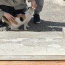 서귀포 여행 가볼만한 곳 추천 3일차 몰질식육식당 테라도스 우진해장국포장 실패 동문시장 제주항