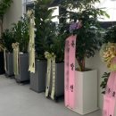 삼전건축사사무소 - 영덕군 군청길 115 | 삼전건축사사무소