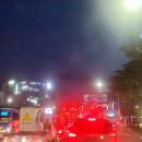 2851/ I'm not going anywhere. 이미지