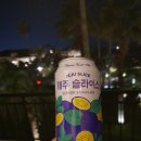세븐일레븐제주더호텔점 네이버블로그