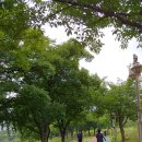 화랑유원지_경기도미술관주변 이미지