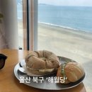 해월당 강동점 이미지