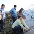 장수사과원예농업협동조합 이미지