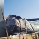 스마트 용달 이미지