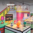 노원수학문화관 | 서울 노원 놀거리 실내 가볼만한곳 노원수학문화관