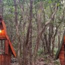 돈셰프흑돼지 이미지